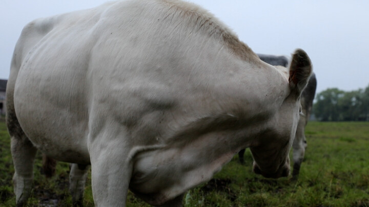 105408511012107010060992