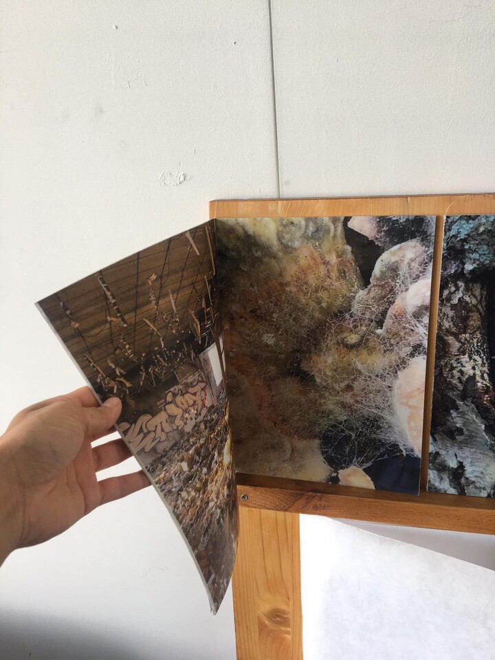 Nature's Nerves - Foto prints en fotopublicaties