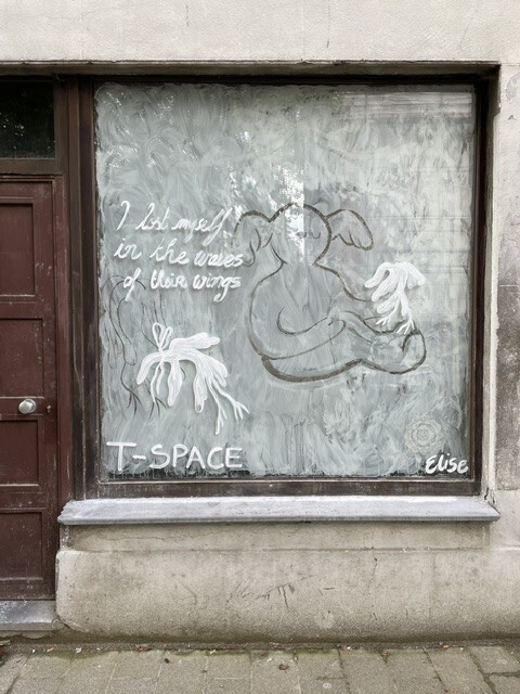  I lost myself in the waves of their wings