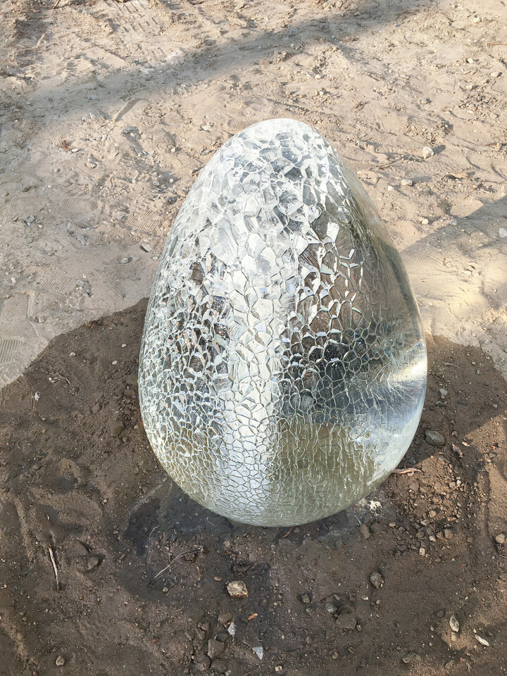 The philosopher's egg