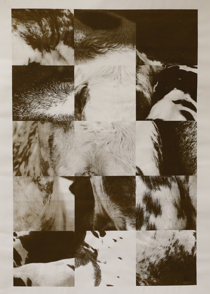 821710460934652520030905095382114132