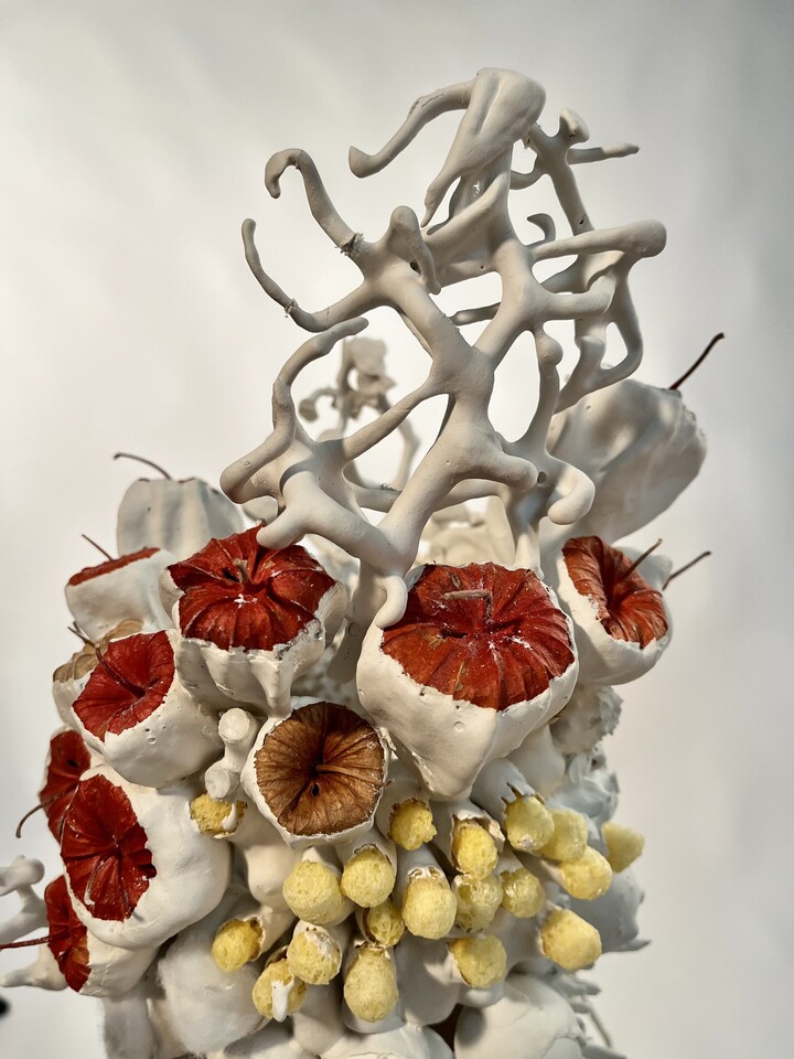 Moved by clay, eclectische reis door natuur, architectuur en verzamelingen