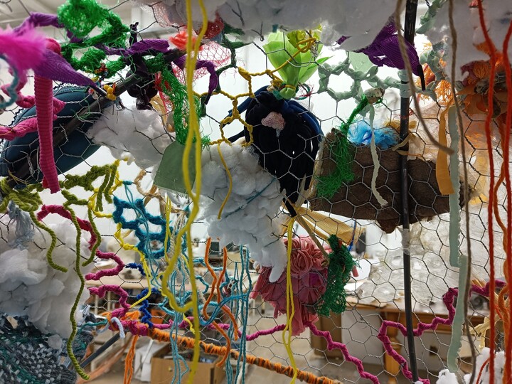 krab uit  de reeks ontspullen