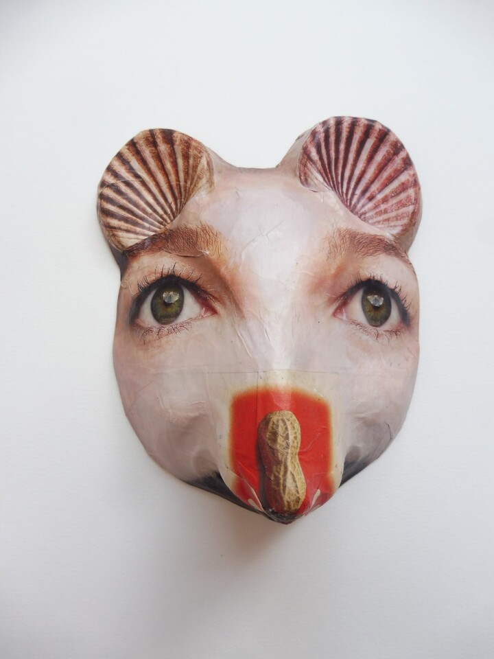Koala masker