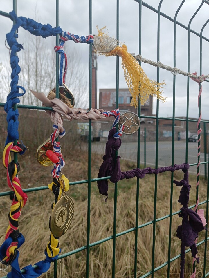 Een omlijsting voor het landschap