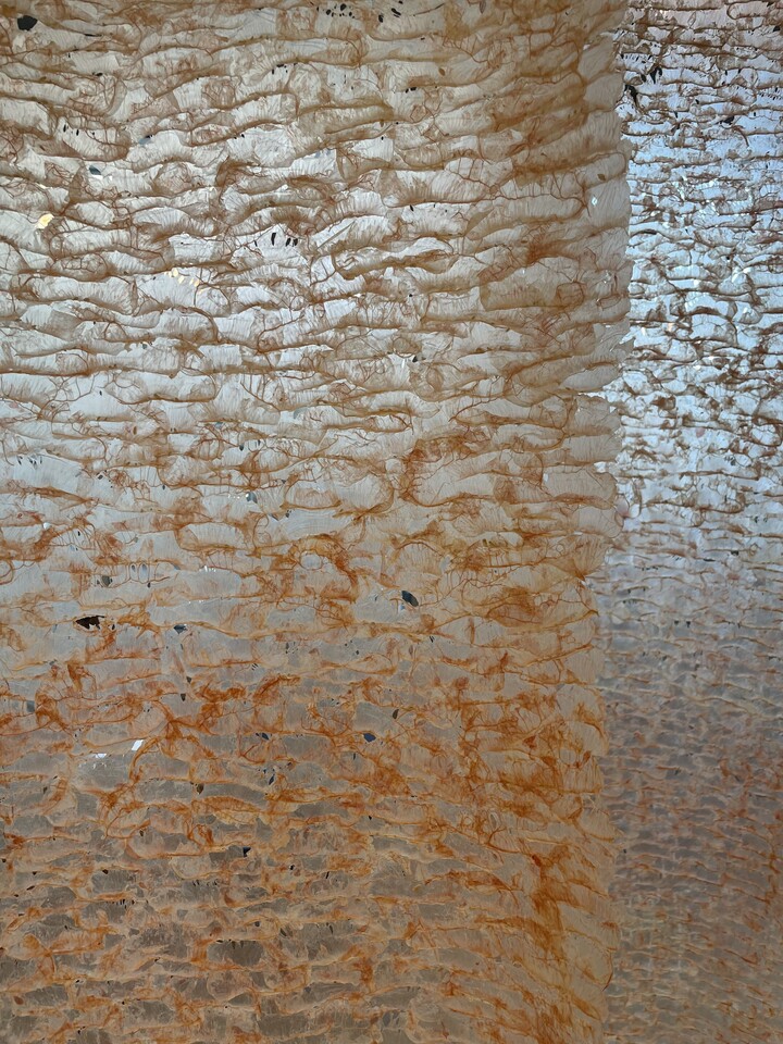 It is about having a skin and a house, something that covers and protects something else