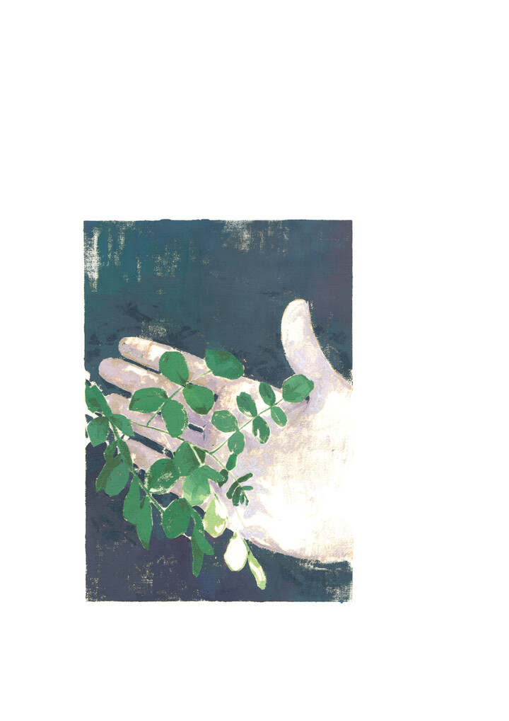 Translacions, from image - to environment 