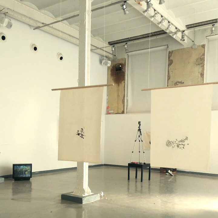 Translacions, from image - to environment 