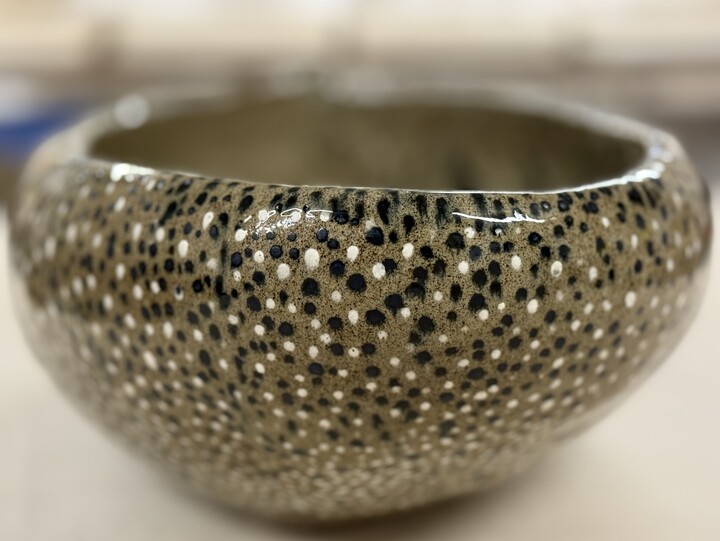 Girondelle - petit ventre